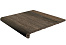 Ступень фронтальная Forest PELDANO WENGUE 33x33x4-web_1.jpg